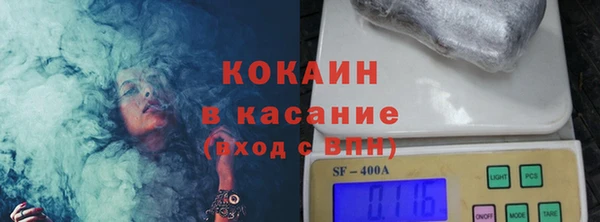 сатива Арсеньев