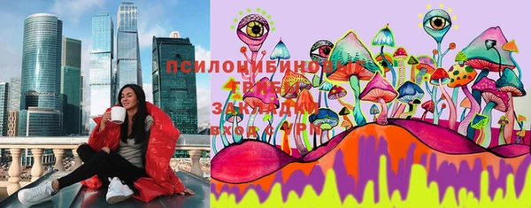 сатива Арсеньев