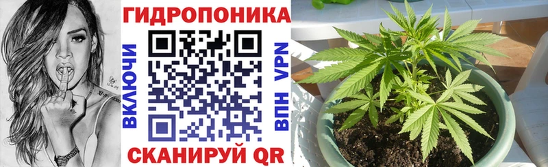 где продают наркотики  Сясьстрой  Бошки марихуана MAZAR 